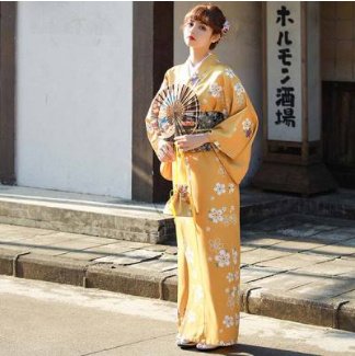 Elegant Young Ladys Japanese-style Kimono Formal Wear Womens Modernized Kimono And Yukata